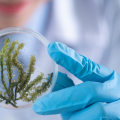 What is the impact of biotechnology?