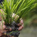 What are the biggest problems in biotechnology?