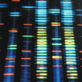 Is biotechnology ethical or not?