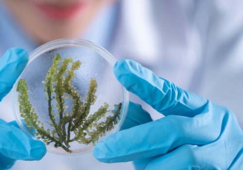 What is the impact of biotechnology?