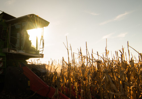 What are the disadvantages of biotechnology to the environment?