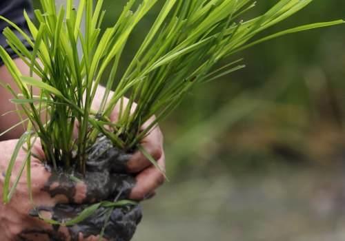 What is the problem with biotechnology?